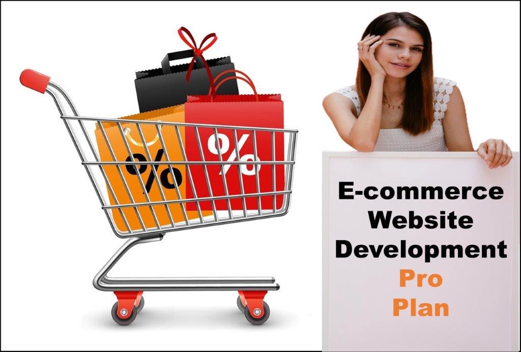 professional ecommerce website development agency in Columbia South Carolina