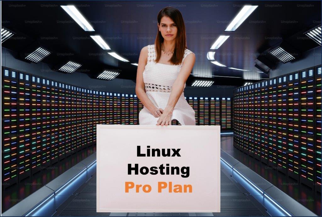 linux hosting windows hosting provider in Columbia South Carolina