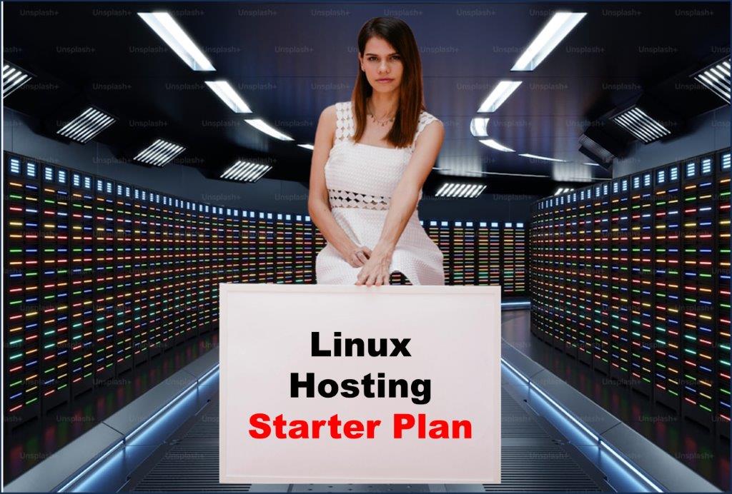Website Hosting in Columbia South Carolina
