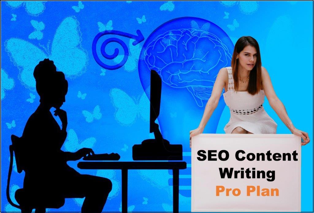 seo content writing agency Columbia South Carolina
