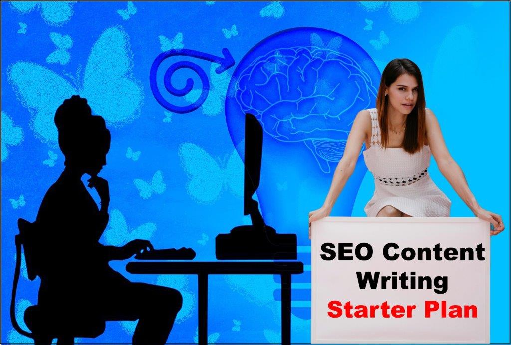 seo content writing service provider in Columbia South Carolina