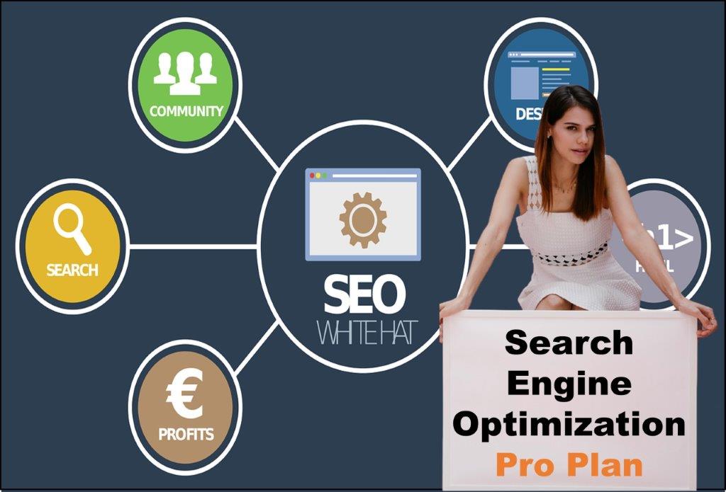 seo company Columbia South Carolina