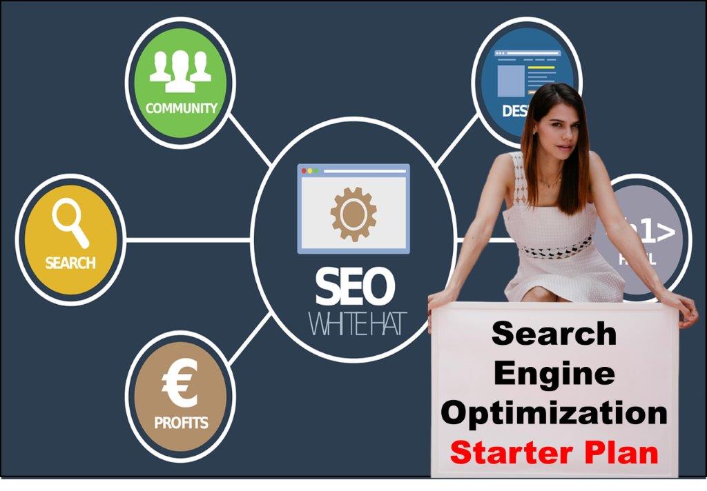 seo service provider in Columbia South Carolina