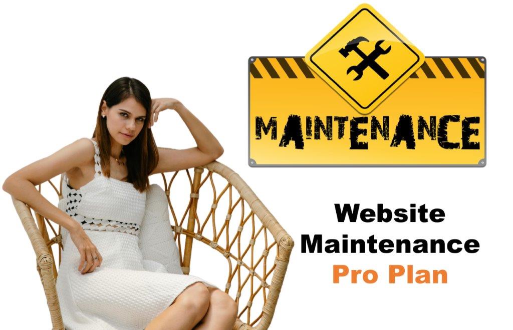website maintenance agency in Columbia South Carolina