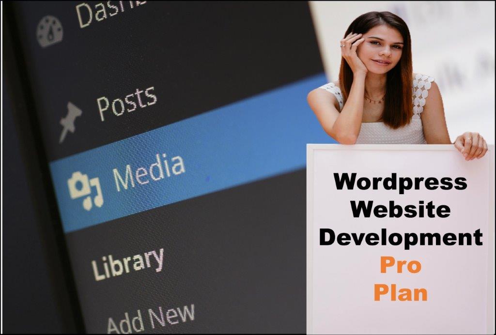 wordpress website designing in Columbia South Carolina